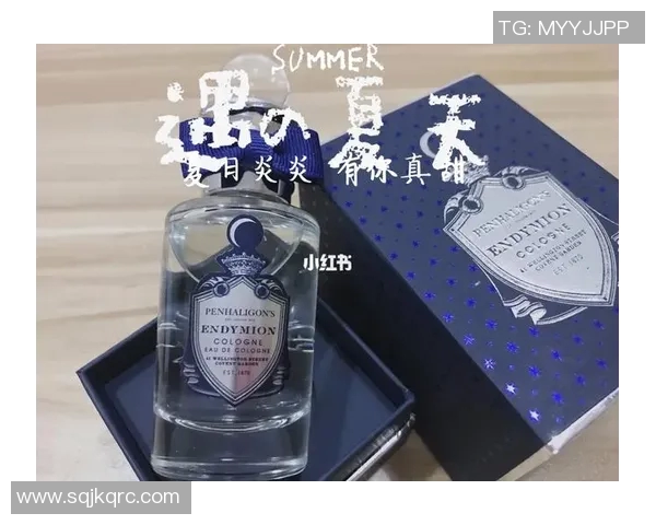 探索lelabo篮球明星的魅力与成就背后的故事与启示